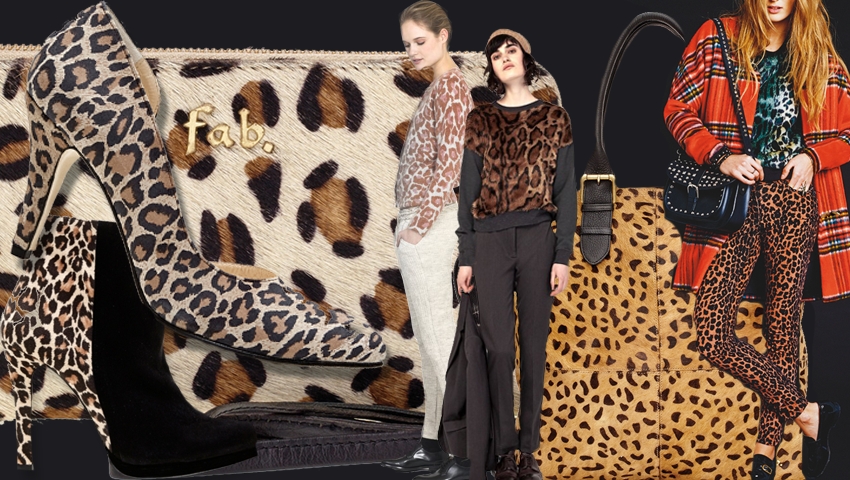 Moodboard 1 Leopard