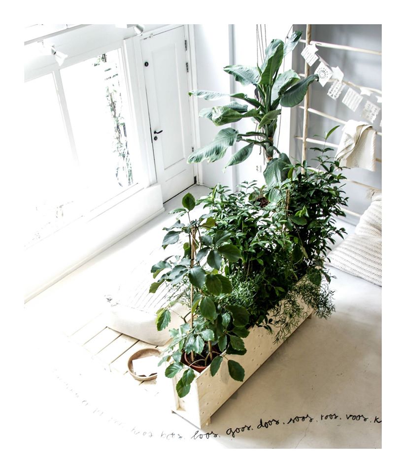 Sukha Amsterdam23